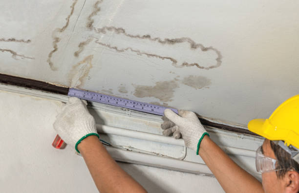 Affordable Water Damage Repair solutions in Mount Olive, WV